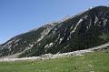Zillertal 124